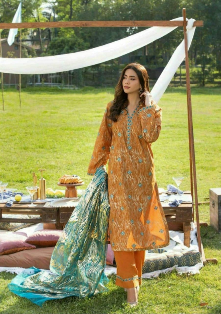 Pakistani Branded dress